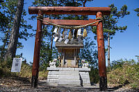 Kinomori Jinja