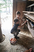 Mackenzie And Arabella Collecting Eggs