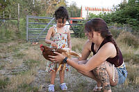 Mackenzie Petting Chicken