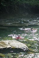 Swimming Down River