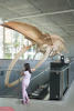 Nara With Blue Whale Skeleton