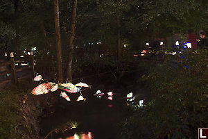 Salmon Lanterns Over Still Creek