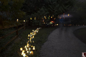 Stream Of Glass Lanterns