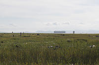 Car Carrier Sailing Past Jetty