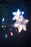 Sun Shaped Lantern In Tree