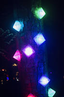Acordian Lanterns On Tree