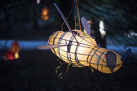 Bee Lantern