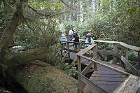 Bridge Over Small Stream