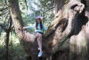 Claira Sitting On Cedar Tree Limb