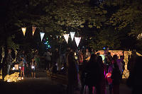 Crowd Under Lanterns