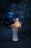 Mushroom Lantern