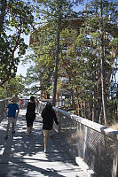 Nearing End Of Boardwalk