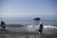 Taking Photos Of River Otter On Rock