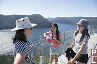 View From Top Of Malahat Skywalk