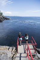 View Of Kelp Forest