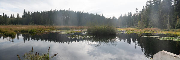 mainimage