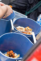 Sorting Mushrooms Into Quality