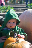 Nara Hanging Out With Pumpkins