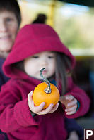 Nara With Pumpkin In Hand