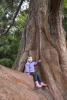 Nara On AClimbing Tree