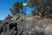 Petroglyph On Rocks