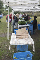 Packing Station For Purchases