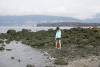 Kelp Collecting At Kits Beach