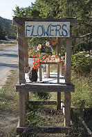 Roadside Flower Stand