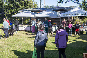 Arriving At Galiano Farmers Market