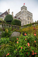 Dahlia With Castle Behind