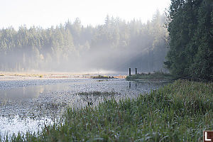 Morning Rays On Lake