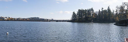 View Of Selkirk Trestle