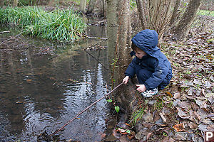 Marcus Digging Leaves With AStick