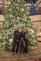 Williams In Front Of Lobby Christmas Tree