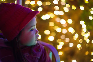 Nara Watching The Lights Go By