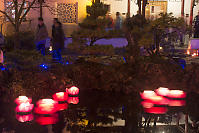 Crowds With Lotus Flowers In Pond