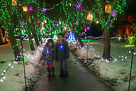 Lanterns In Trees