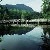 Dock on Rice Lake