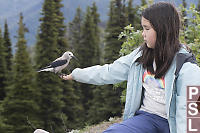 Nara With Clarks Nutcracker