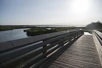 Boardwalk In Morning