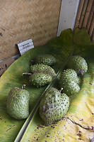 Sour Sop On Banana Leaf