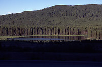 Lake at the Side of the Coquihalla