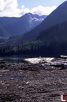 Log Sorting Yard