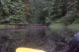 Unnamed Creek Off Nootsum River