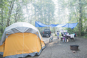 Three Tarp Morning