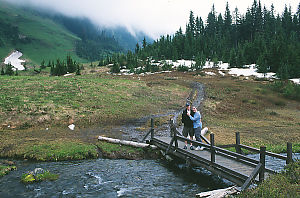 Brendon And Ashely On Broken Bridge