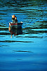 Mike Arriving By Boat