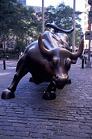 Bull on Wall Street