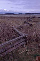 Fence at Rathtrevor