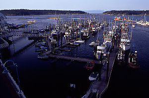 Overhead View of Harbour